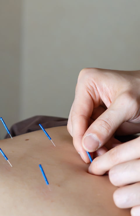 Noll＜ノル＞｜札幌マタニティはりきゅう・マッサージ・美容鍼・札幌訪問鍼灸｜中央区・桑園・鍼灸